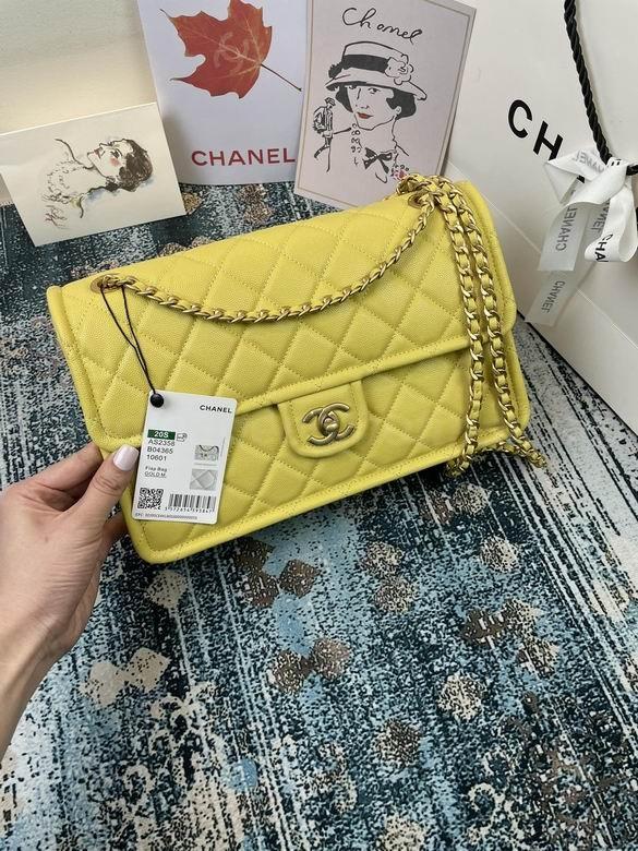 Chanel Handbags 157